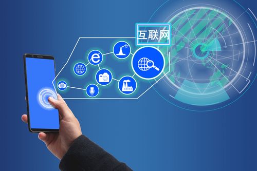 互聯網的發展與信息服務的演變